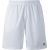 Forza Landos Shorts white - Men